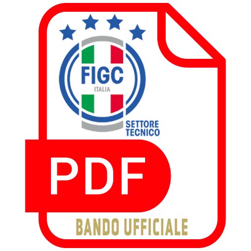 LogoPDFBandoUfficiale